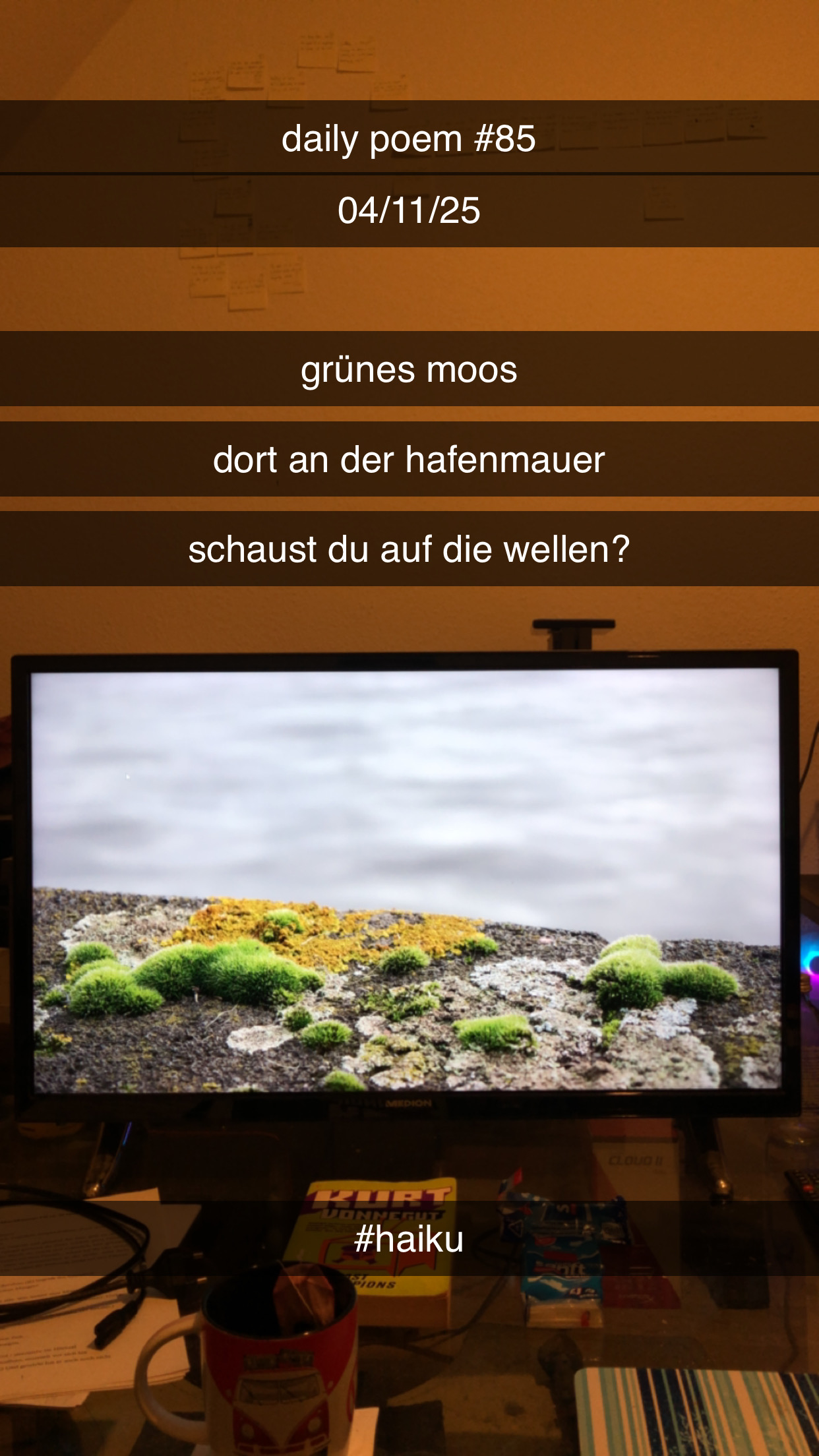 Bild zum Gedicht