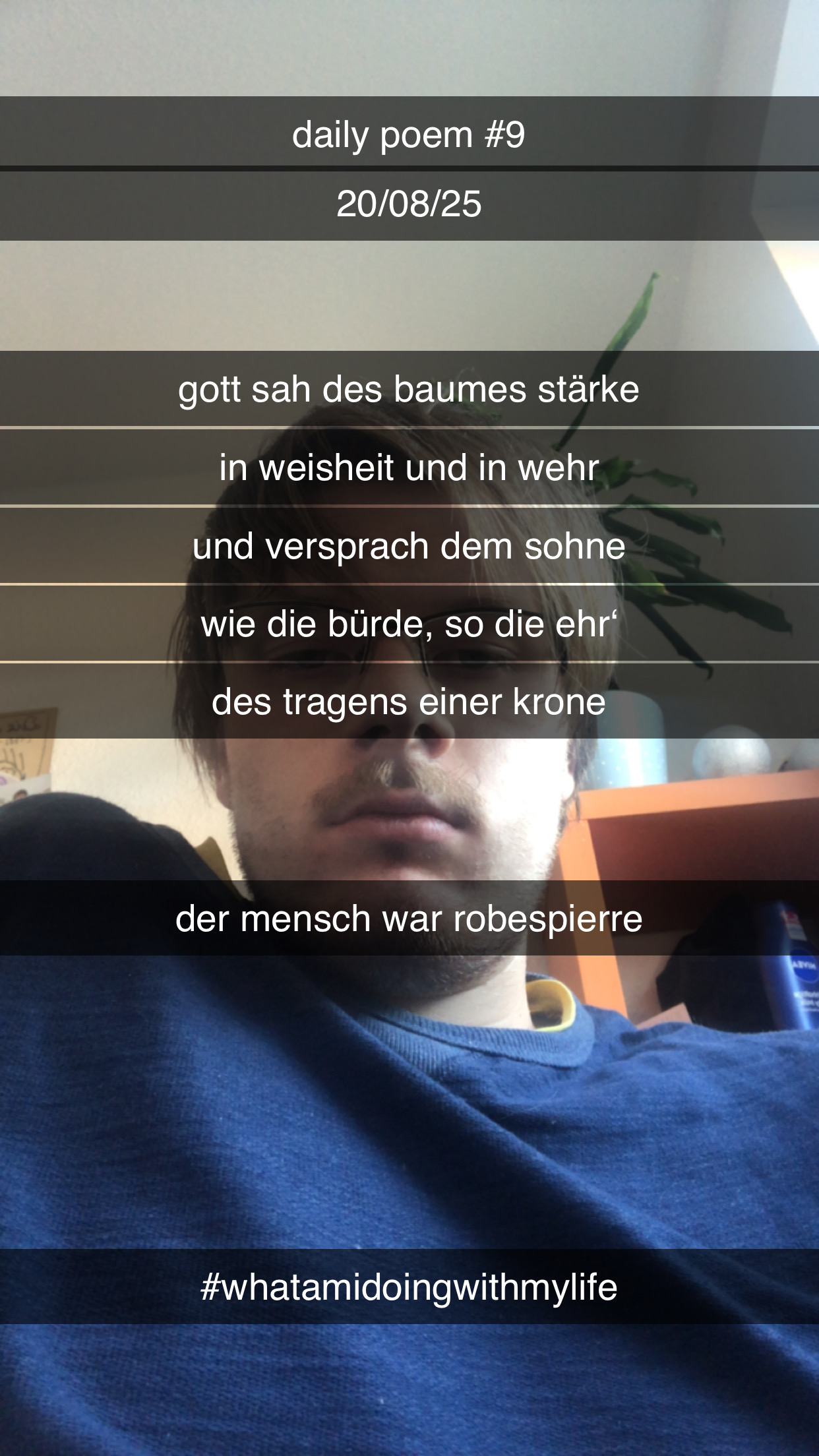 Bild zum Gedicht